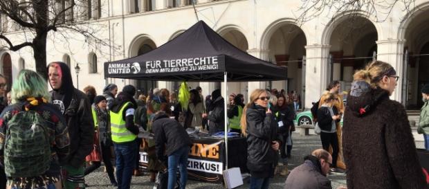 Der Aufbau ist fast abgeschlossen. Foto: Animals United Der Aufbau ist fast abgeschlossen. Foto: Animals United