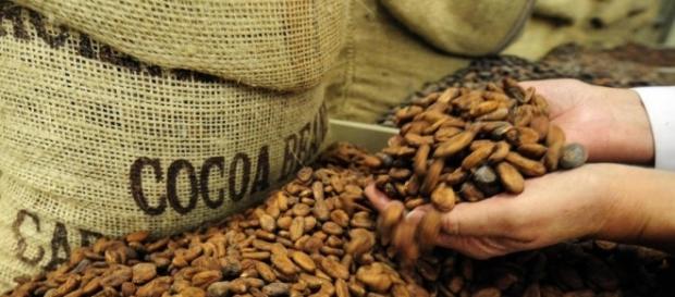 Hot Chocolate: Somebody Just Bet $1 Billion On Cocoa : Planet - npr.org Hot Chocolate: Somebody Just Bet $1 Billion On Cocoa : Planet - npr.org