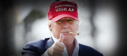 Fotomontaggio che ritrae Donald Trump con una canna di marijuana in bocca