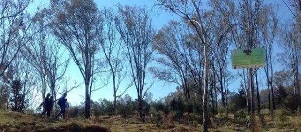 Jornada de riego y limpieza colectivo Salvando al Cerro de Amalucan Jornada de riego y limpieza colectivo Salvando al Cerro de Amalucan