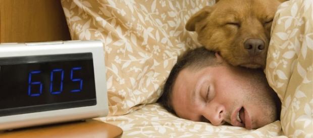 Mais de nove horas de sono por dia pode indicar problemas neurológicos Mais de nove horas de sono por dia pode indicar problemas neurológicos
