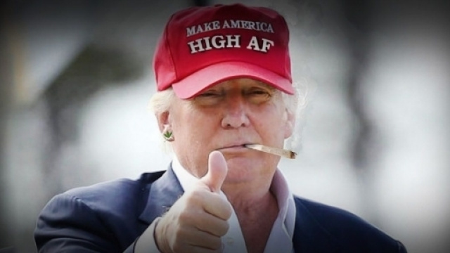 Fotomontaggio che ritrae Donald Trump con una canna di marijuana in bocca