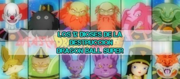 El papel de cada dios destrucción en Dragon Ball Super by Toei Animation El papel de cada dios destrucción en Dragon Ball Super by Toei Animation