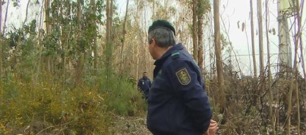 Foi a GNR da Maia que se deslocou ao local onde foi encontrado o cadáver. Foi a GNR da Maia que se deslocou ao local onde foi encontrado o cadáver.