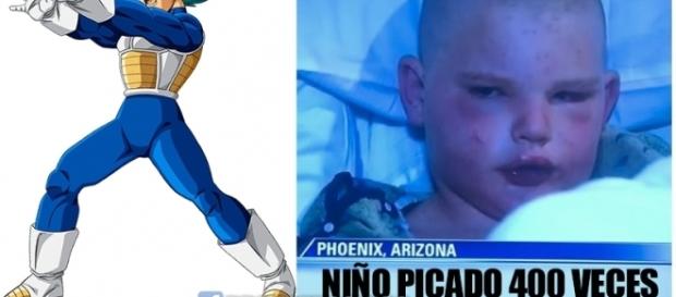 Niño picado por 400 abejas usa técnica de dragon ball Niño picado por 400 abejas usa técnica de dragon ball
