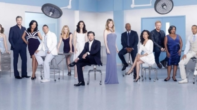 Grey's Anatomy: la stagione numero 13 continua su Fox Life