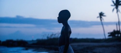 Moonlight Movie Review & Film Summary (2016) | Roger Ebert - rogerebert.com