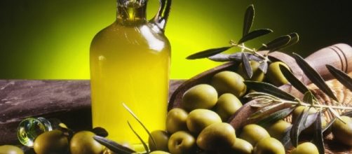 Olio d'oliva, registrato a livello europeo il marchio 'Sicilia Igp ... - palermomania.it
