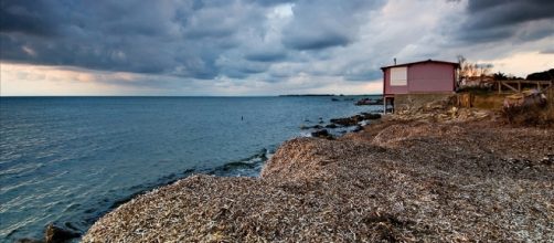 Sardegna, posedonia in spiaggia