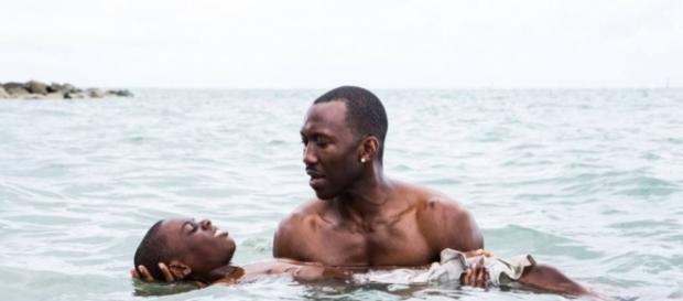 "Moonlight", la película más pequeña de negros gays que eclipsó a todo Hollywood entero. "Moonlight", la película más pequeña de negros gays que eclipsó a todo Hollywood entero.