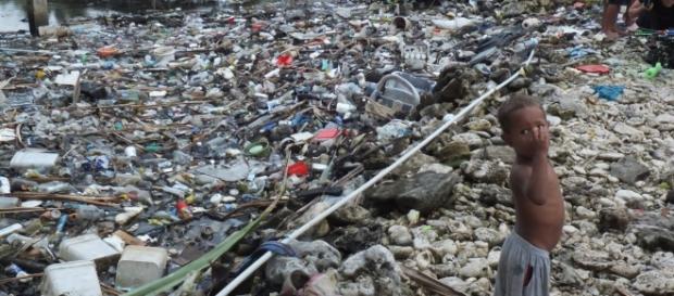 Can our oceans be saved from environmental ruin? - CNN.com - cnn.com Can our oceans be saved from environmental ruin? - CNN.com - cnn.com