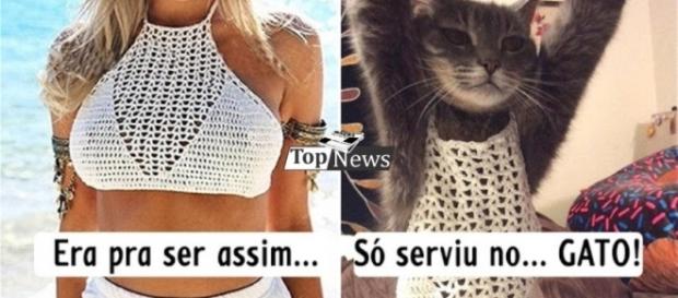 Veja alguns exemplos drásticos sobre isso Veja alguns exemplos drásticos sobre isso