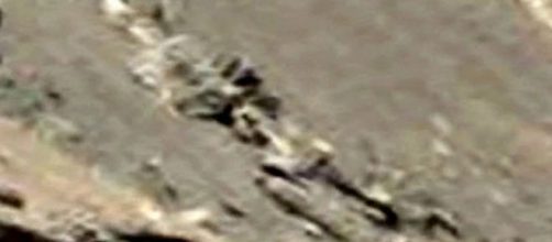 Immagine NASA del presunto scheletro