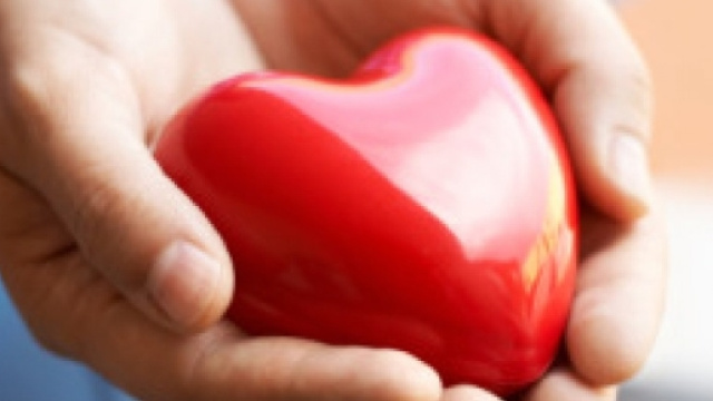 Captatori di emozioni, le antenne del cuore: le Mani - Feleasy.it - feleasy.it