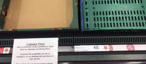 Gli scaffali degli ortaggi nei supermercati inglesi sono vuoti a causa della 'crisi delle verdure'