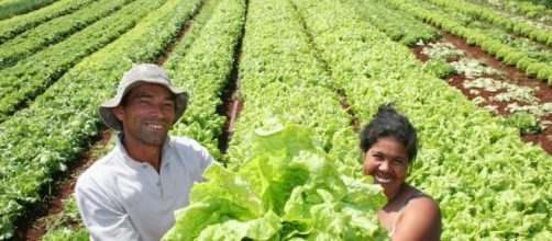 La agricultura sustentable en países en vías de desarrollo