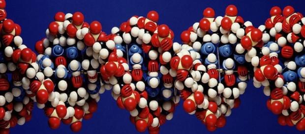 Global Team Taps Into DNA Behind Type 2 Diabetes | Health ... - lacrossetribune.com Global Team Taps Into DNA Behind Type 2 Diabetes | Health ... - lacrossetribune.com