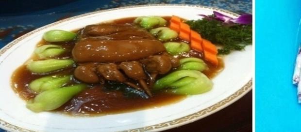 Pés humanos são servidos em restaurante chinês da Itália. Pés humanos são servidos em restaurante chinês da Itália.