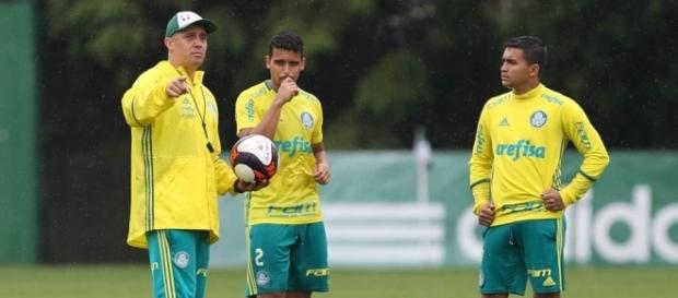 Veja a provável escalação do Palmeiras para enfrentar o Botafogo Veja a provável escalação do Palmeiras para enfrentar o Botafogo