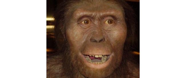 Algumas pessoas acreditam que o ser humano evoluiu do macaco. Algumas pessoas acreditam que o ser humano evoluiu do macaco.