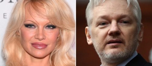 Is Pamela Anderson dating Julian Assange? - totpi.com