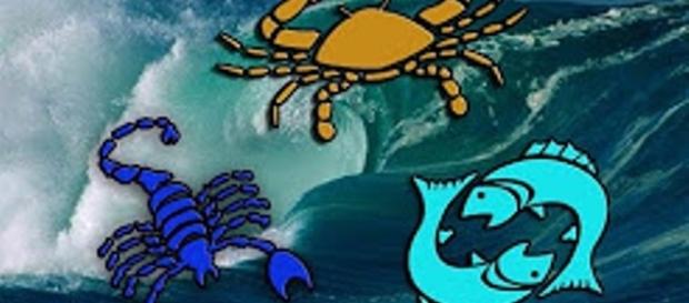 Como conquistar a los signos de agua: CÁNCER, ESCORPIO y PISCIS Como conquistar a los signos de agua: CÁNCER, ESCORPIO y PISCIS