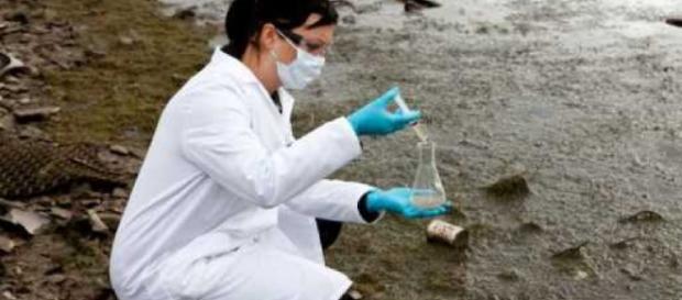 La contaminación de las aguas es objeto de estudio en varios países La contaminación de las aguas es objeto de estudio en varios países