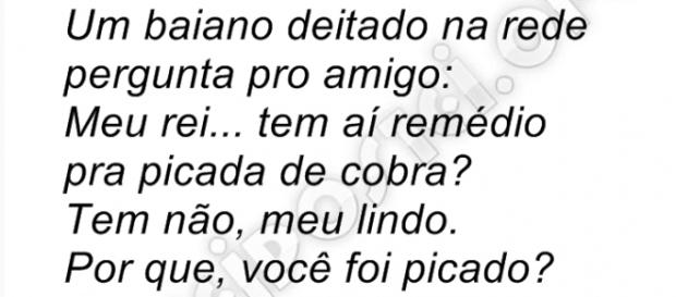 Piadas que nos fazem rir, fortalecem nosso sistema imunológico Piadas que nos fazem rir, fortalecem nosso sistema imunológico