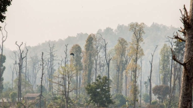Deforestazione e degradazione ambientale a Bandarjhula (foto IUCN)