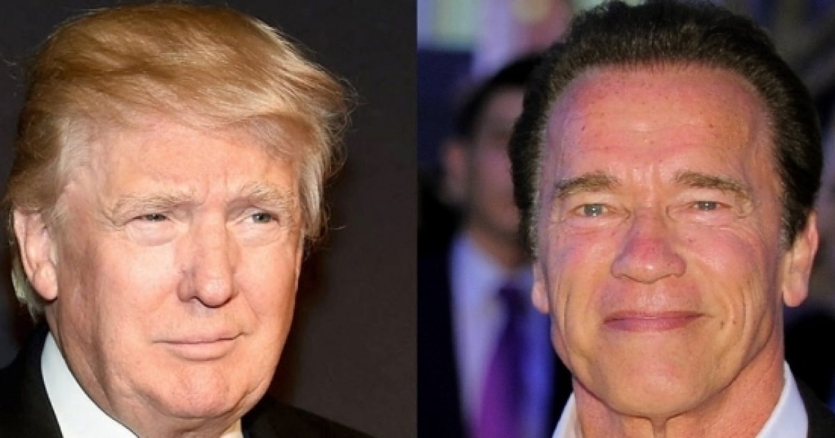 Arnold Schwarzenegger Fires Back At 'skunk' Donald Trump, I'll 'smash ...