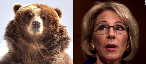 Opinion: The meaning of Betsy DeVos' grizzlies and guns answer ... - cnn.com