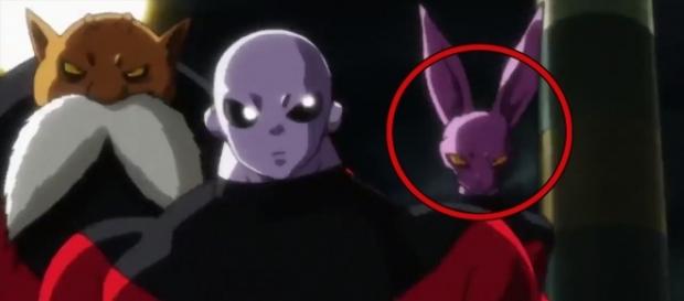 Personaje que podría ser de la misma raza que Bills Personaje que podría ser de la misma raza que Bills