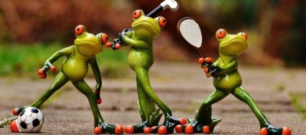 Sporting frogs, Alexis_Fotos, pixabay.com, CC0 Sporting frogs, Alexis_Fotos, pixabay.com, CC0
