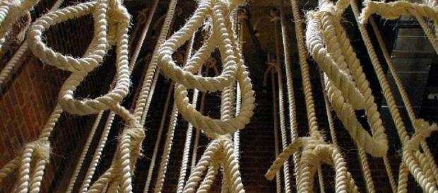 Amnesty accuses Syria of mass hangings in infamous jail - yahoo.com Amnesty accuses Syria of mass hangings in infamous jail - yahoo.com