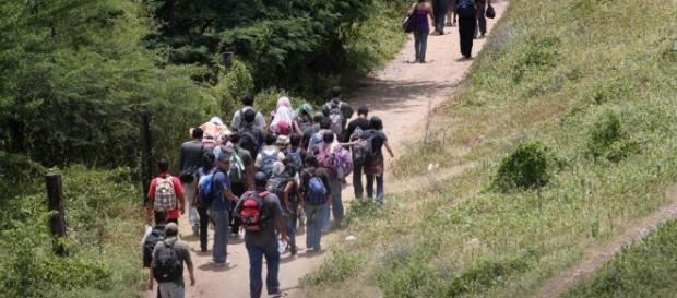 Las migraciones son cada vez más comunes. Las migraciones son cada vez más comunes.