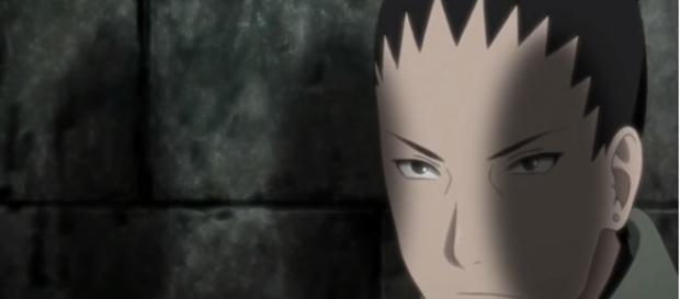 Naruto Shippuden 493 Sinopsis Oficial Naruto Shippuden 493 Sinopsis Oficial