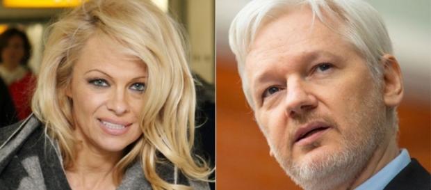 Quiz: Can you name these unlikely friends? - BBC News - bbc.com Quiz: Can you name these unlikely friends? - BBC News - bbc.com