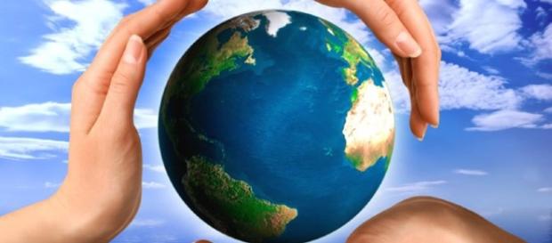 A importância da sustentabilidade para o planeta A importância da sustentabilidade para o planeta