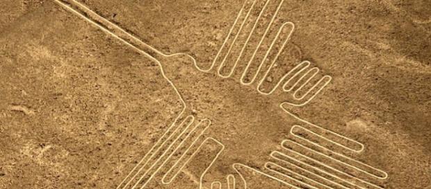 trovata una nuova 'nazca' in mezzo all'Amazzonia trovata una nuova 'nazca' in mezzo all'Amazzonia