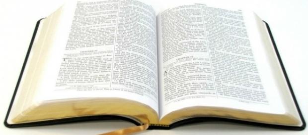 Vereadora acha que todas religiões merecem ser lidas Vereadora acha que todas religiões merecem ser lidas