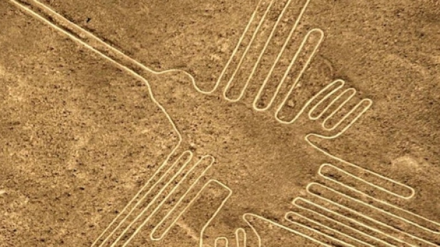trovata una nuova 'nazca' in mezzo all'Amazzonia