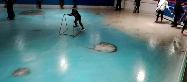 A Space World, au Japon, les visiteurs patinent sur une glace qui contient des cadavres de poissons. A Space World, au Japon, les visiteurs patinent sur une glace qui contient des cadavres de poissons.