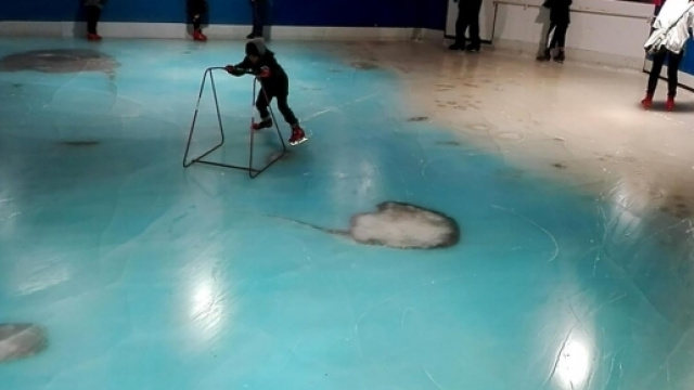 A Space World, au Japon, les visiteurs patinent sur une glace qui contient des cadavres de poissons.