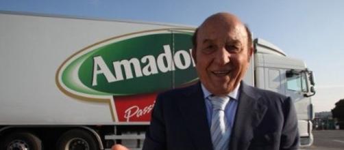 Curriculum vitae amadori 08 image