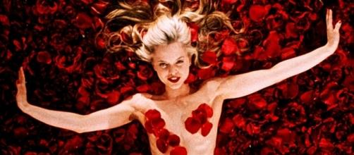 1000+ images about "AMERICAN BEAUTY" on Pinterest | Thora birch ... - pinterest.com