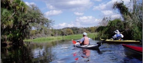 Myakka River State Park Report - Florida Paddling Trails Association - floridapaddlingtrails.com
