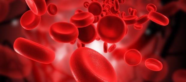 Blood Test | North Georgia DUI Defense - northgeorgialegal.com Blood Test | North Georgia DUI Defense - northgeorgialegal.com