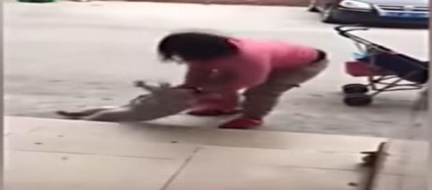 Violência gratuita irritou internautas de todo o mundo (Youtube) Violência gratuita irritou internautas de todo o mundo (Youtube)