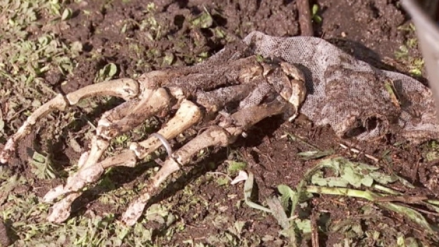 Il Segreto: di chi sono i resti umani?