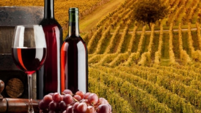 Vino piemonte slow food- massuccowine.com